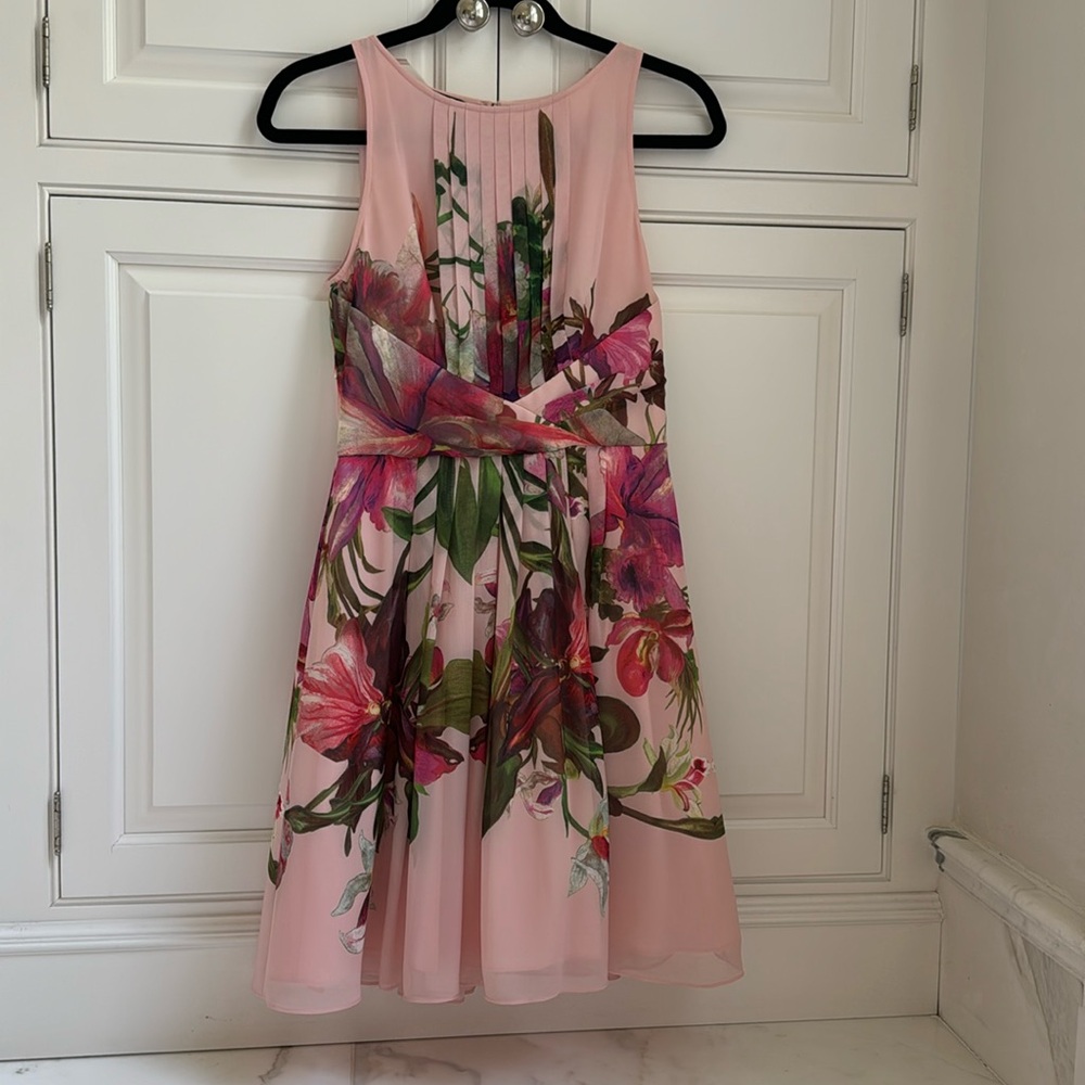 Beautiful size 1 Ted Baker dress